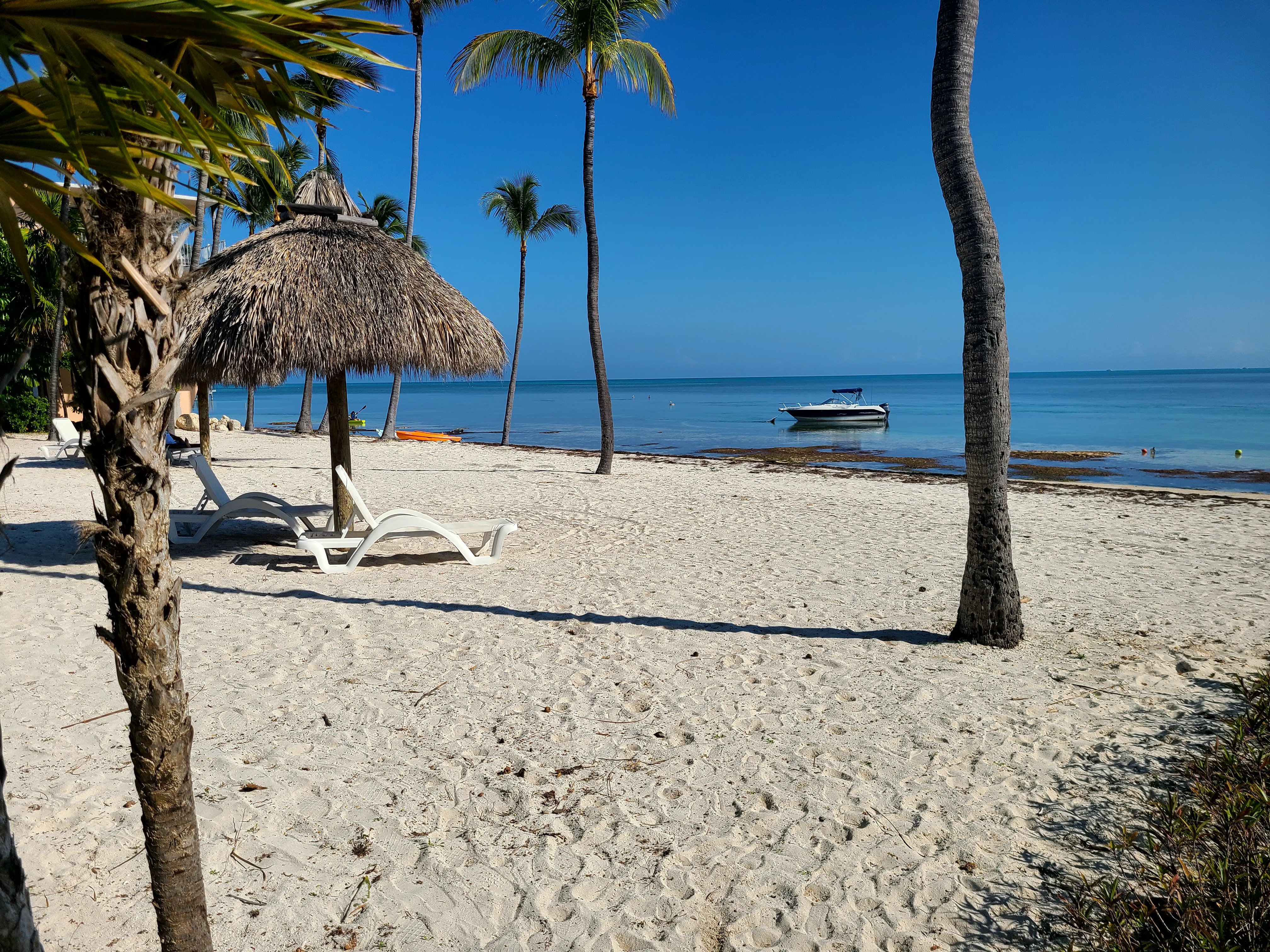 Florida Keys Beach with Palm Trees and Tiki Umbrellas