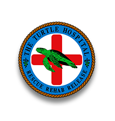 Turtle Hospital Logo