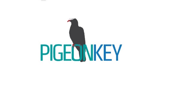 pigeonkey-1